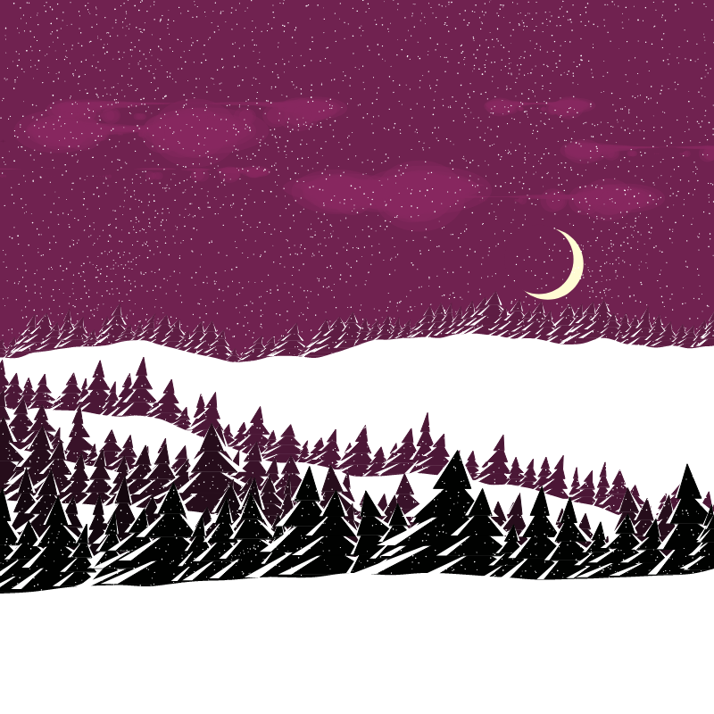 Winterland #217 static token preview