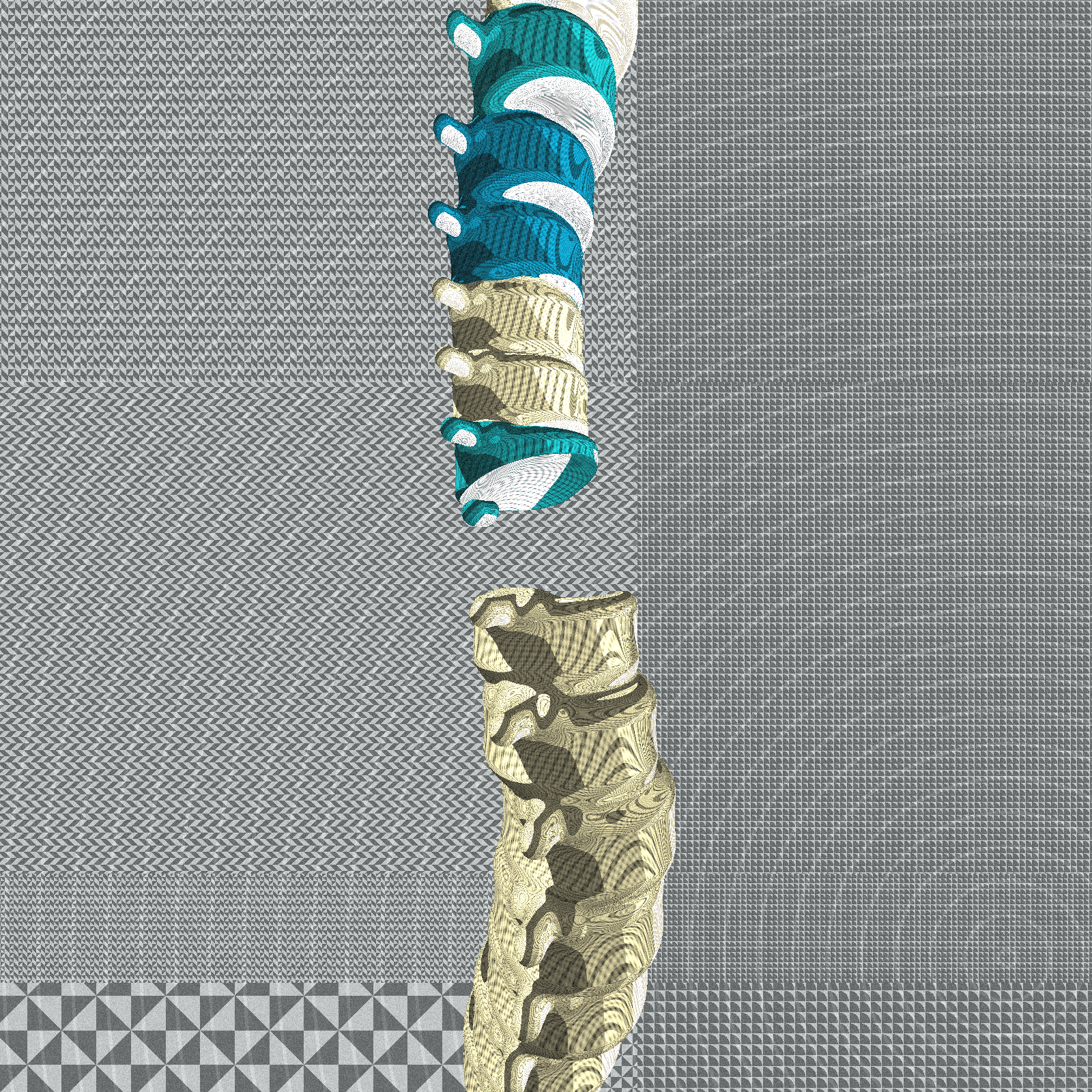 Long, Thin, Tubular Structure #155 static NFT preview