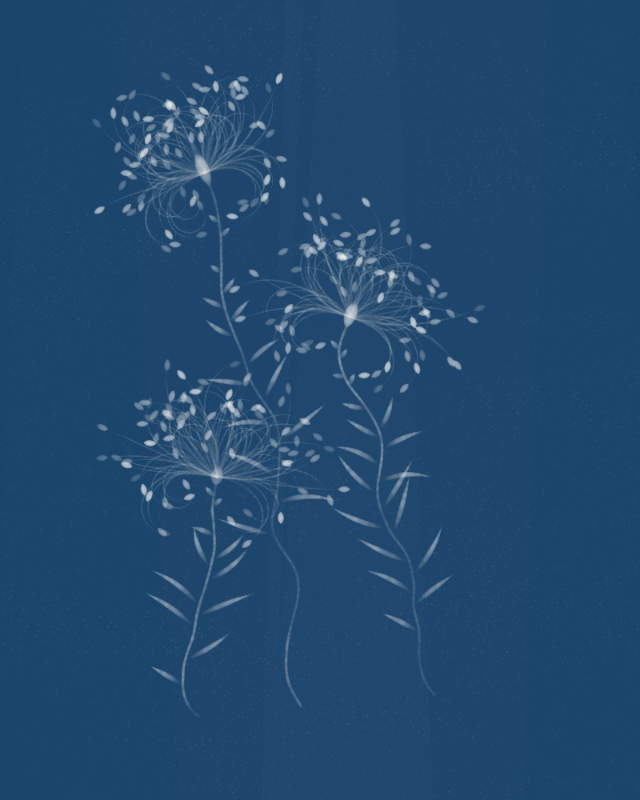 Cyanotypes #143 static token preview