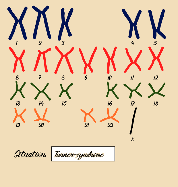 "Karyotype" #12 static token preview