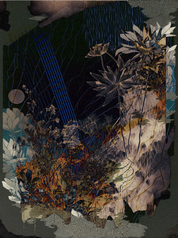 Wild Palms #64 static NFT preview