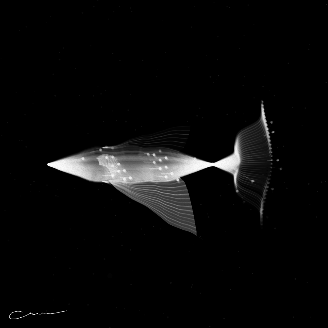 SoulFish #355 static token preview