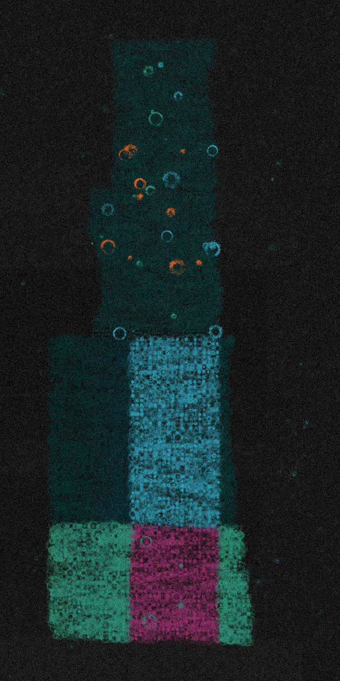 let me fall #273 static NFT preview