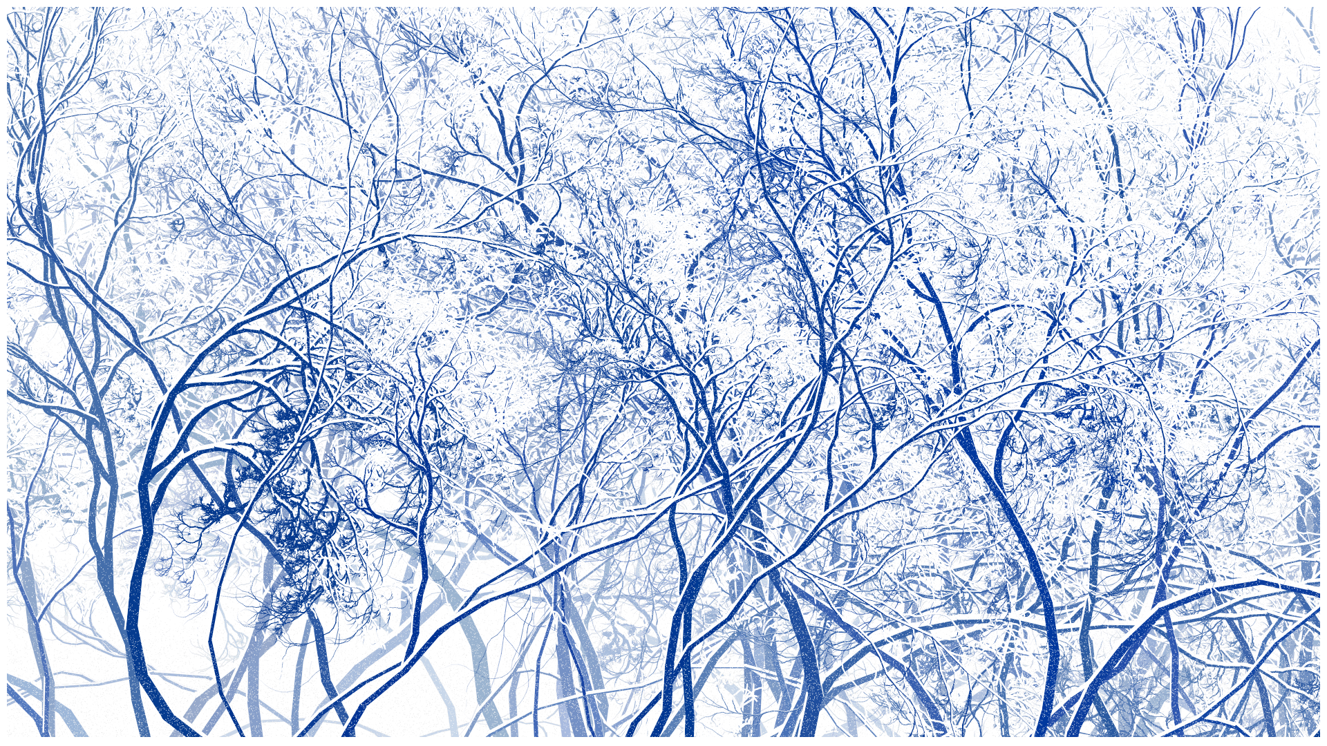 SCHNEEWALD #188 static NFT preview