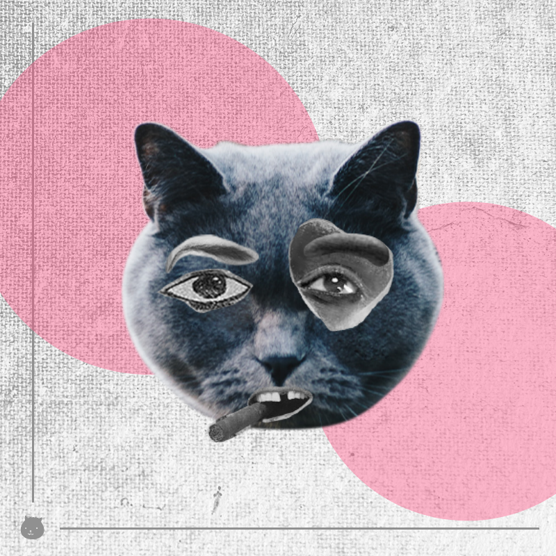 Kittenstein #52 static NFT preview