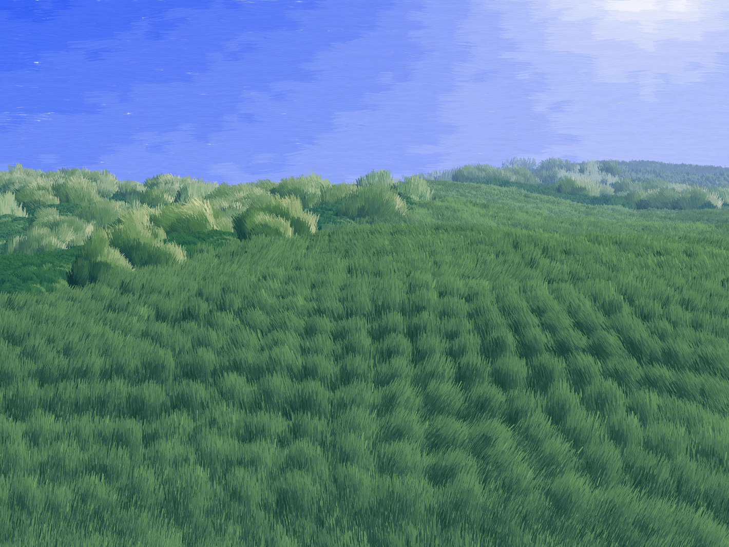 Provence #412 static token preview