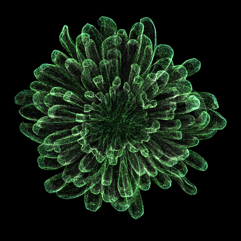 Chrysanthemum Morifolium 30 #56 static token preview
