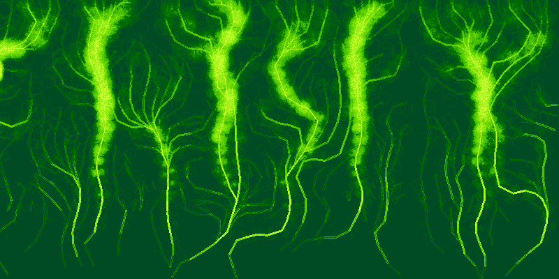 veins #40 static NFT preview