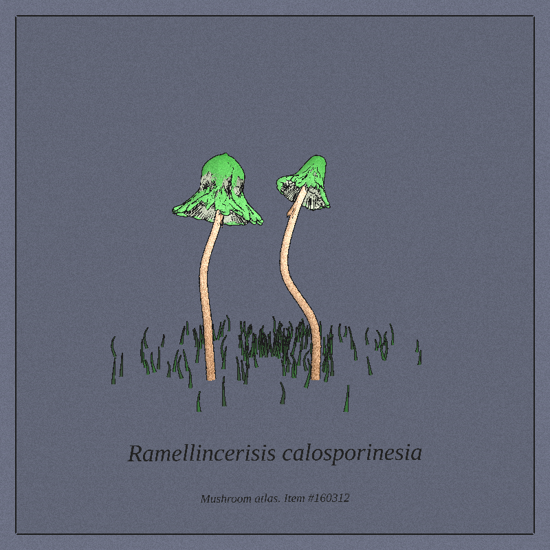 Mushroom Atlas #29 static NFT preview