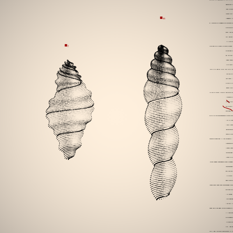 Two Specimen #353 static token preview