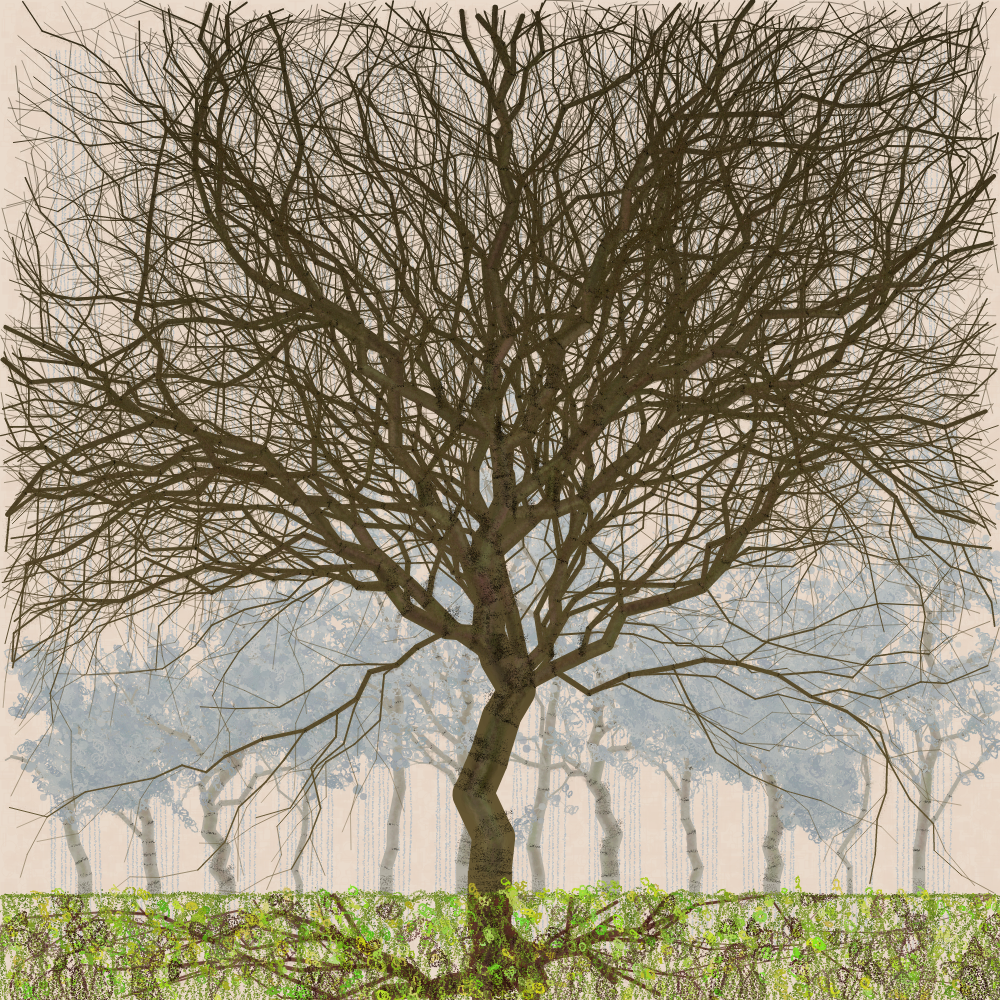 Orchard #116 static NFT preview