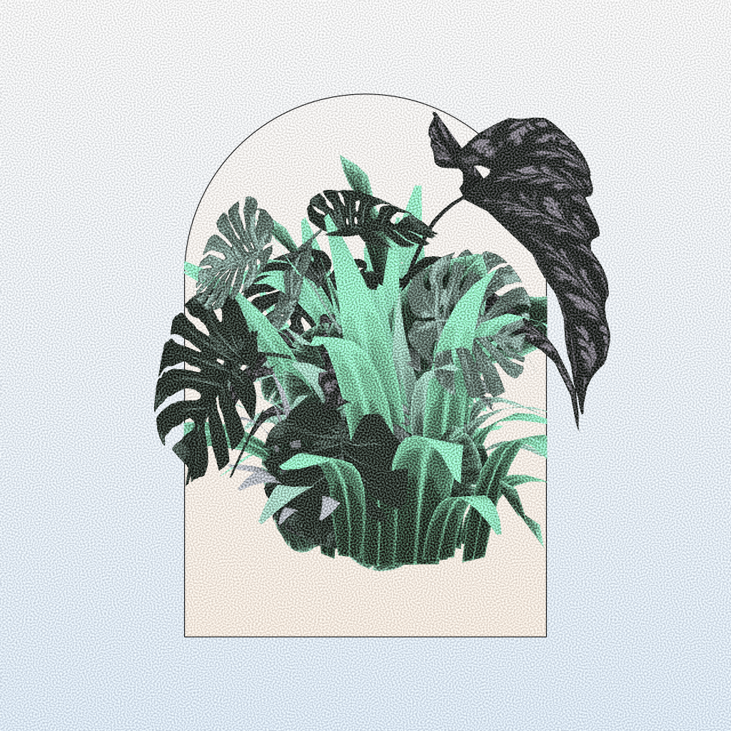 Botany #266 static NFT preview