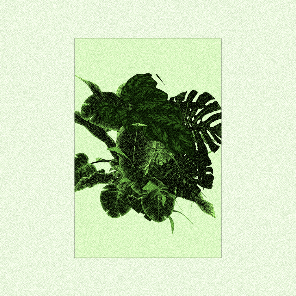 Botany #27 static NFT preview