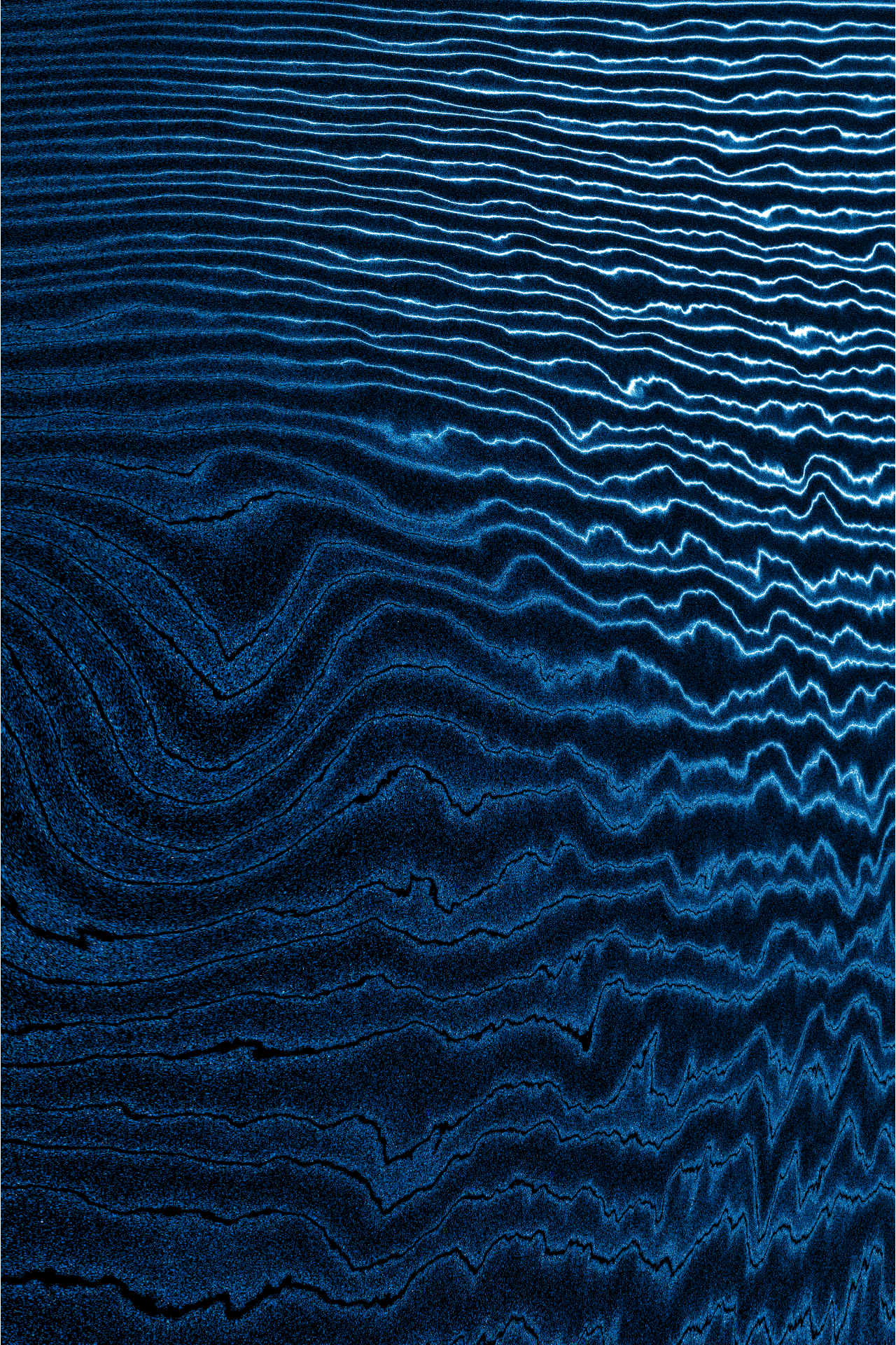 Linear Perturbations #50 static NFT preview