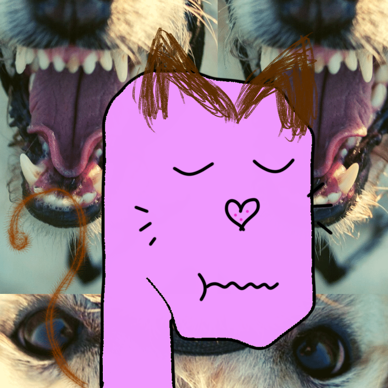 hi CAT lucas #28 static NFT preview