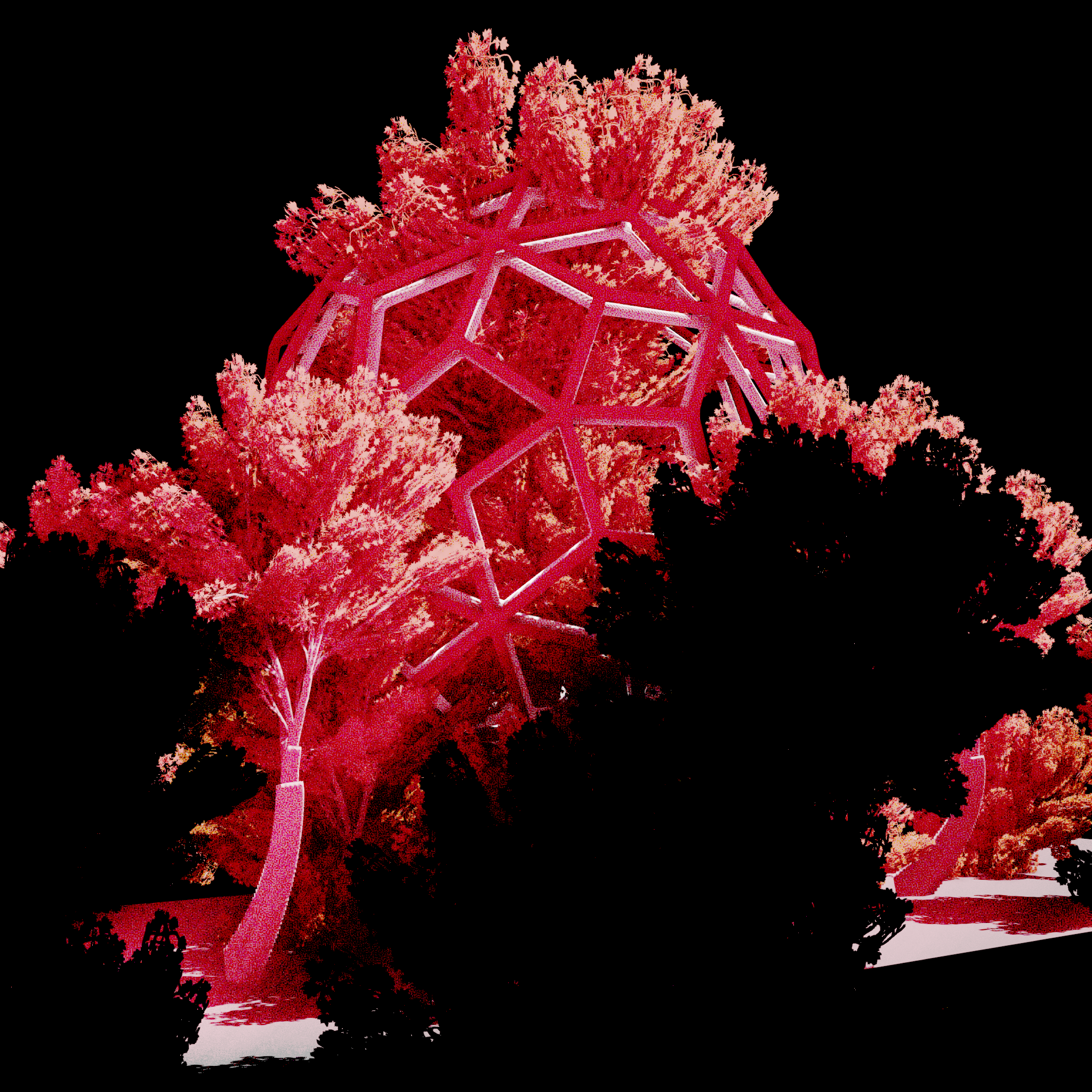 Urban Flora #10 static NFT preview