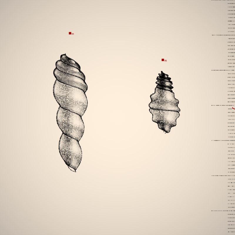 Two Specimen #170 static NFT preview