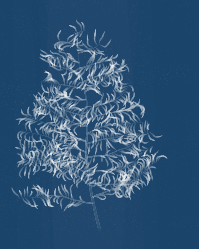 Cyanotypes #43 static NFT preview