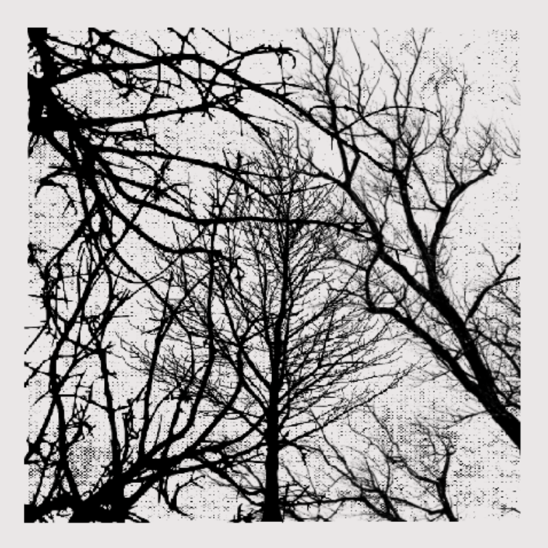 Forest of Shadows #97 static NFT preview