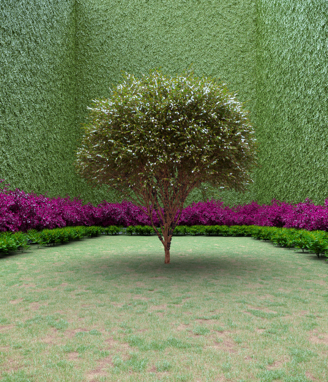 Garden of Imagination #43 static NFT preview