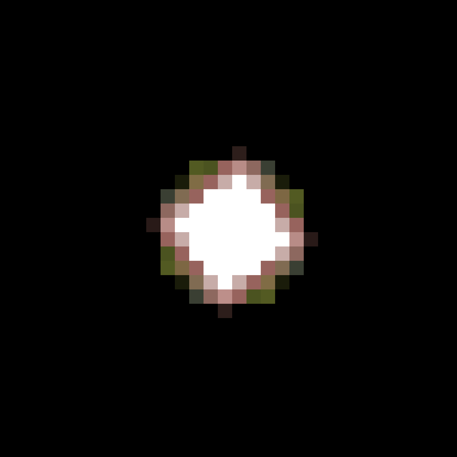 s p i n #363 static NFT preview