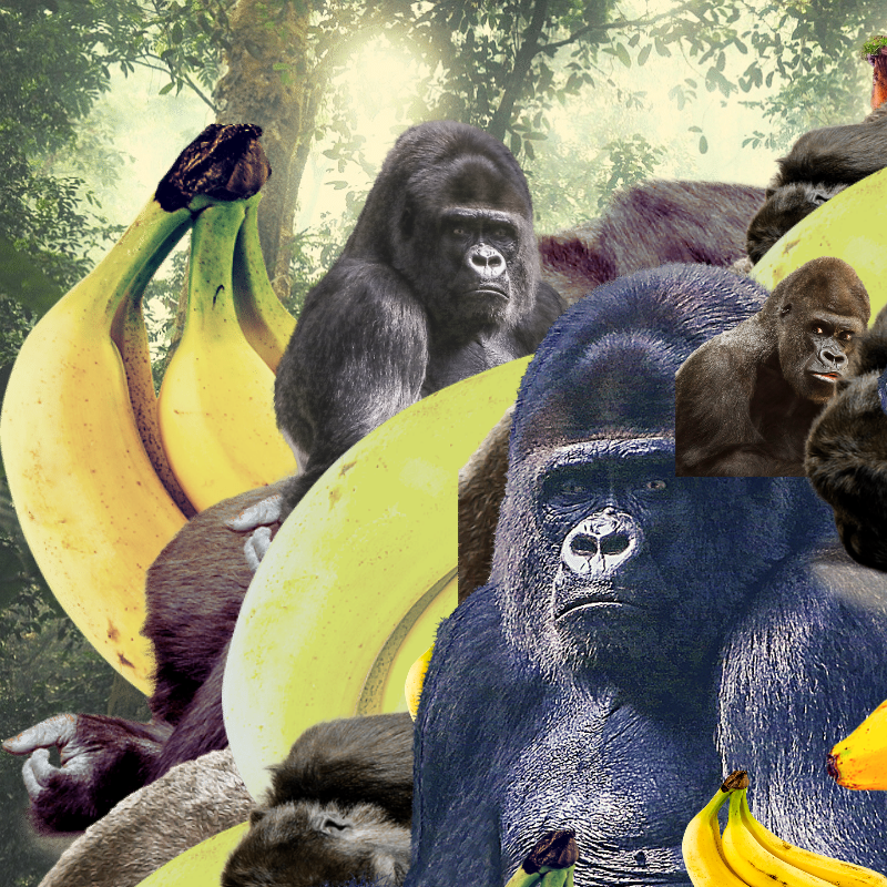 Banana #1 #38 static NFT preview