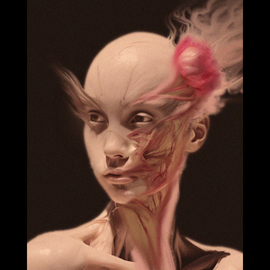 Botanical metamorphoses project preview
