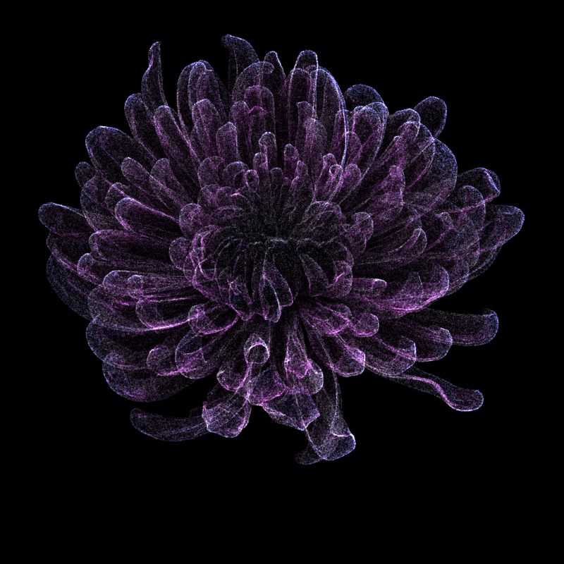 Chrysanthemum Morifolium 30 #135 static NFT preview
