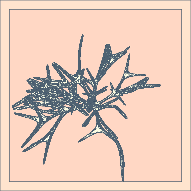 Bones that support nothing #81 static NFT preview