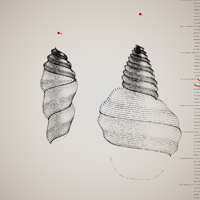 Two Specimen #391 static NFT preview