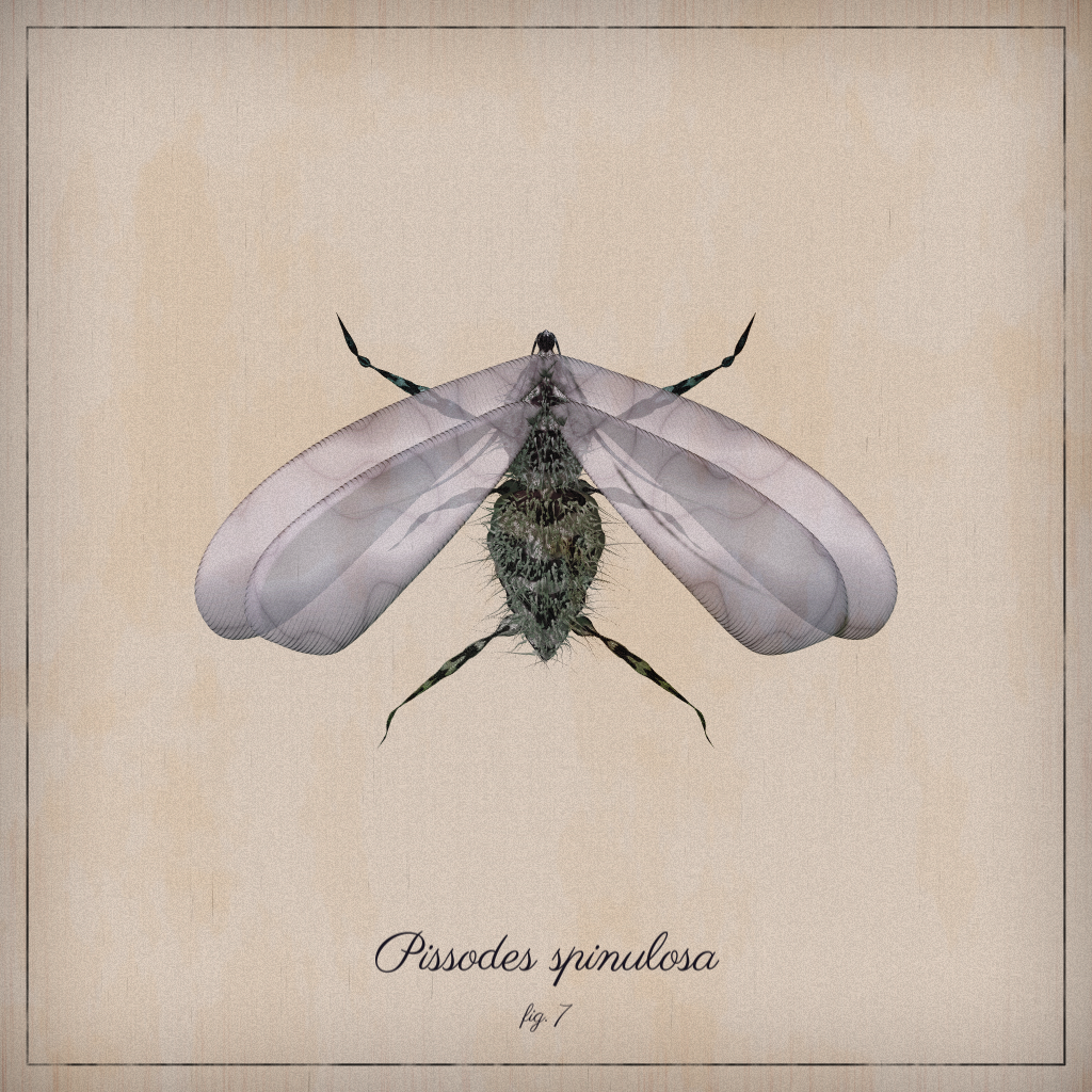 ProcGen Entomology #404 static token preview