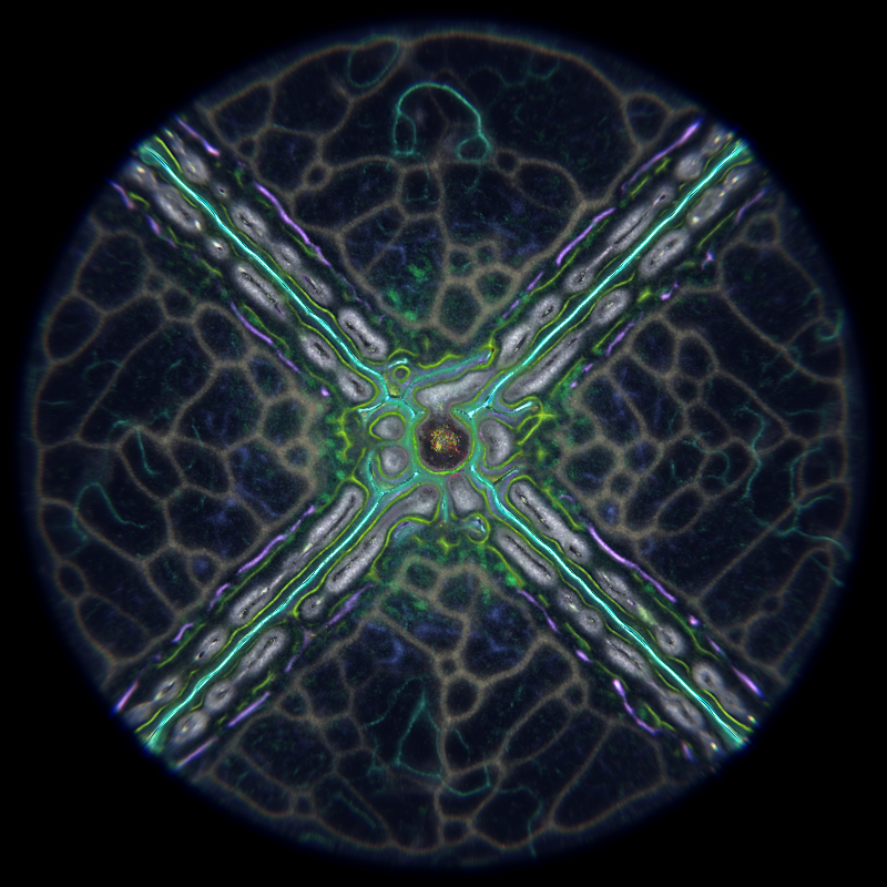 Ethereal Microcosm #272 static NFT preview