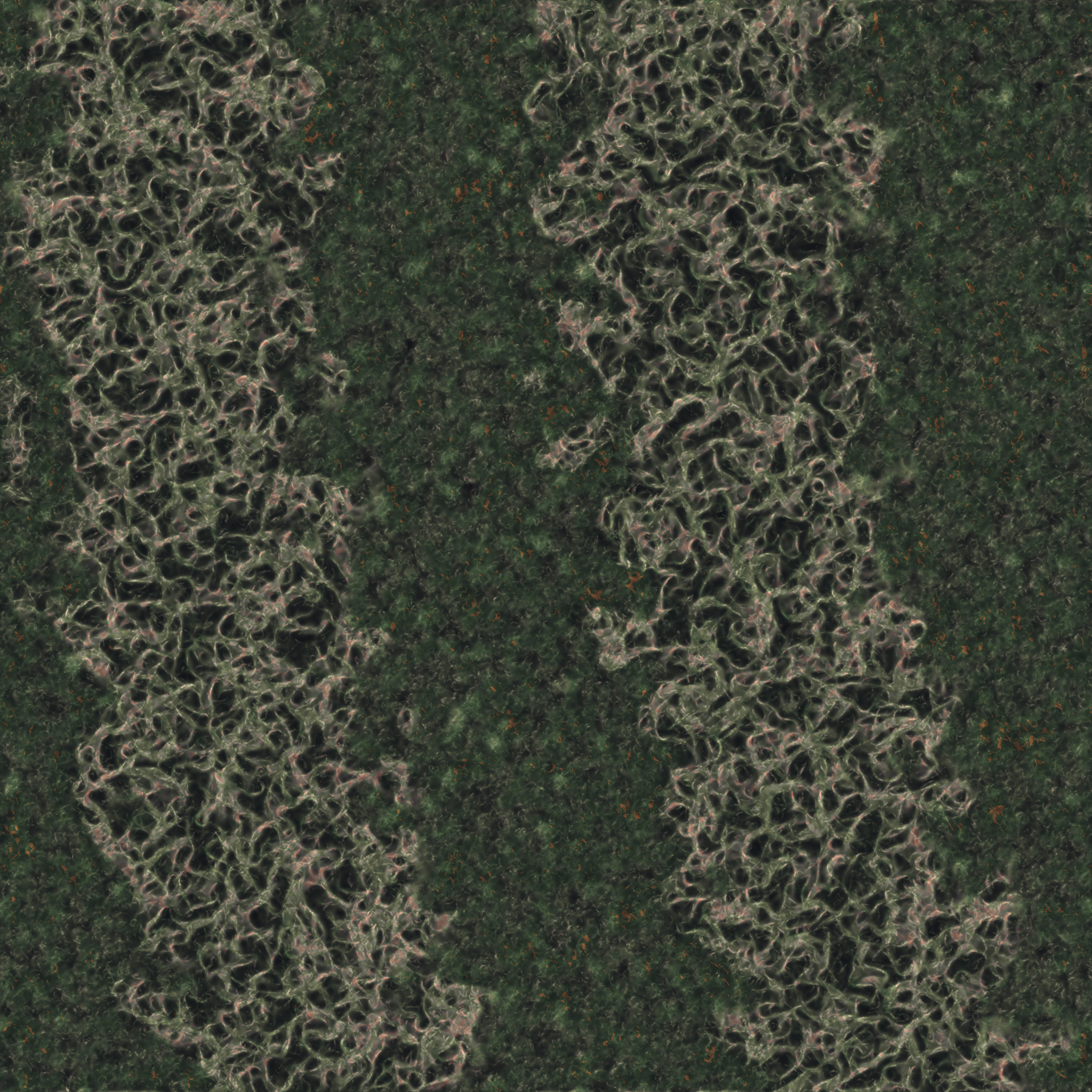saprophyte #62 static NFT preview