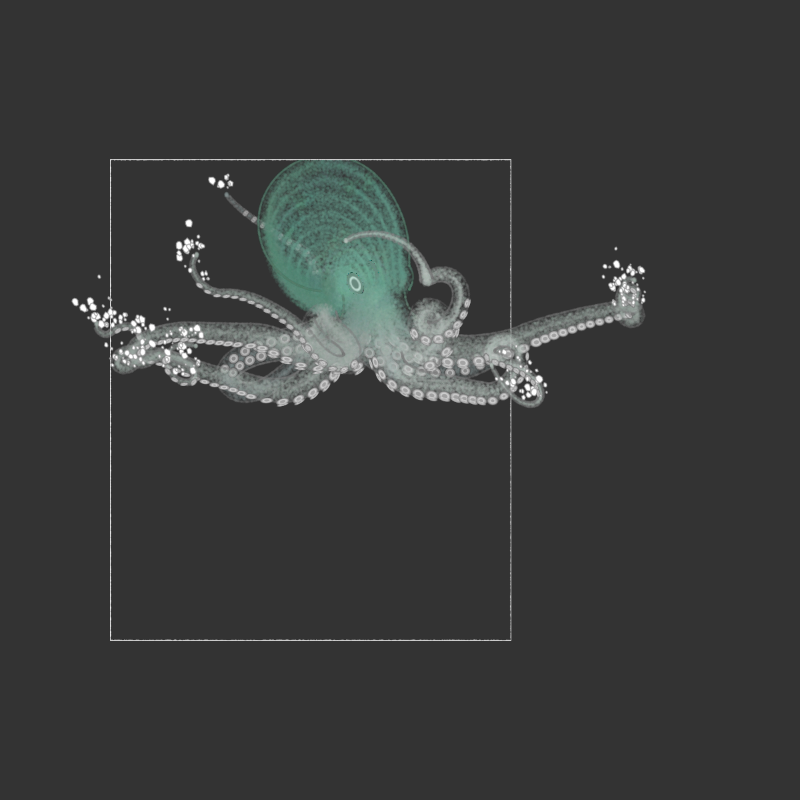 the generative octopuses #11 static NFT preview