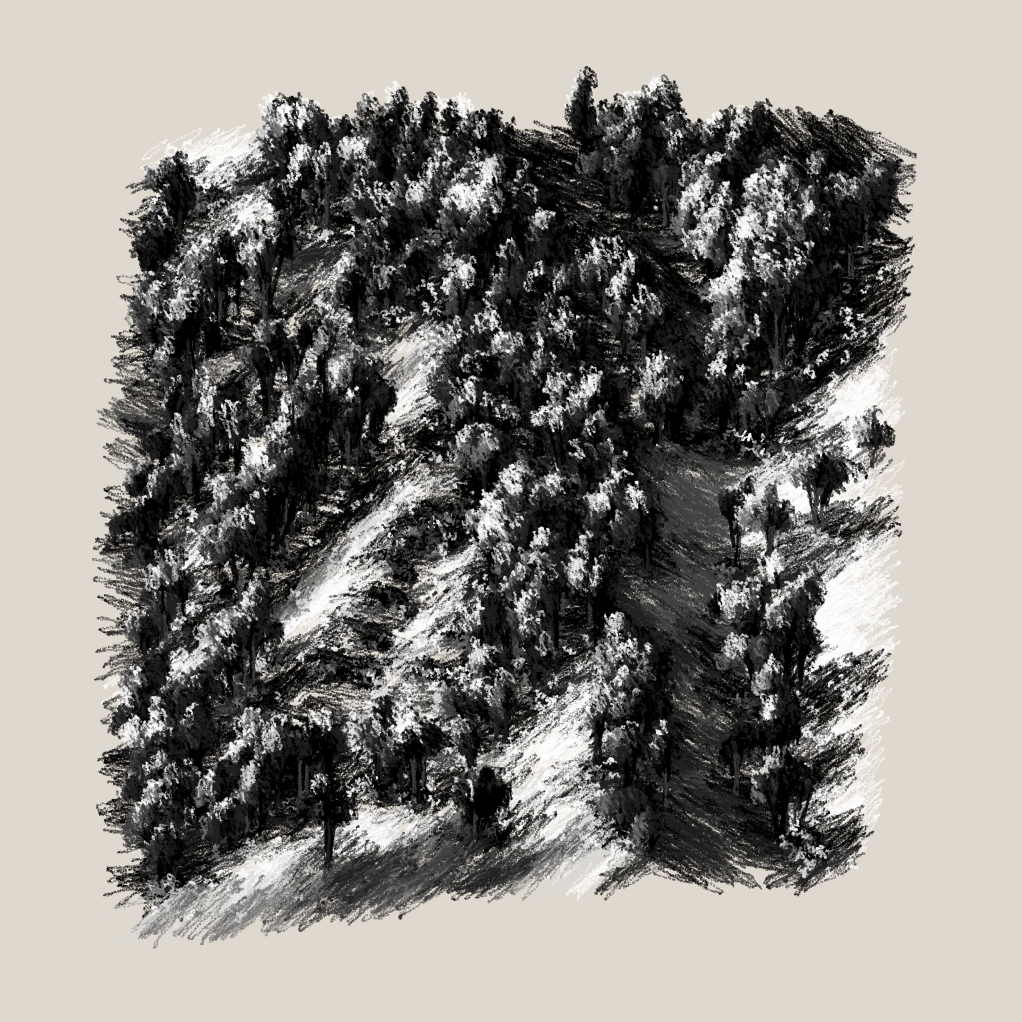 Eucalyptus and Sagebrush #29 static token preview