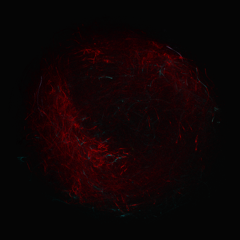 balls in vector fields #98 static token preview