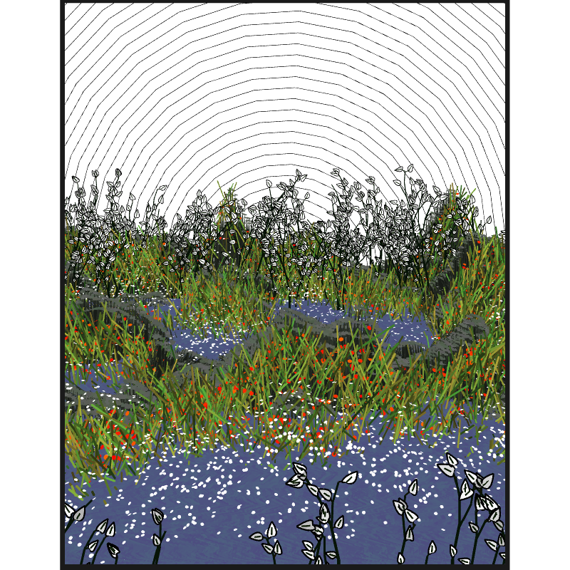 Contours #55 static NFT preview