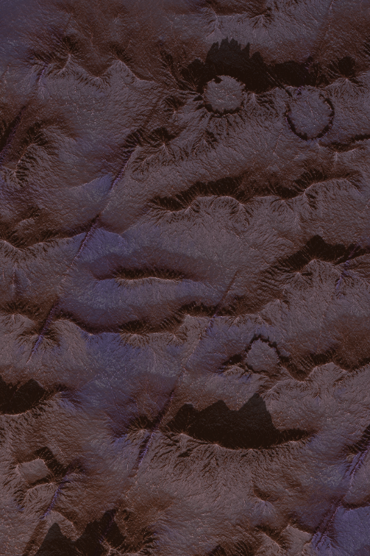 Reconnaissance #178 static NFT preview