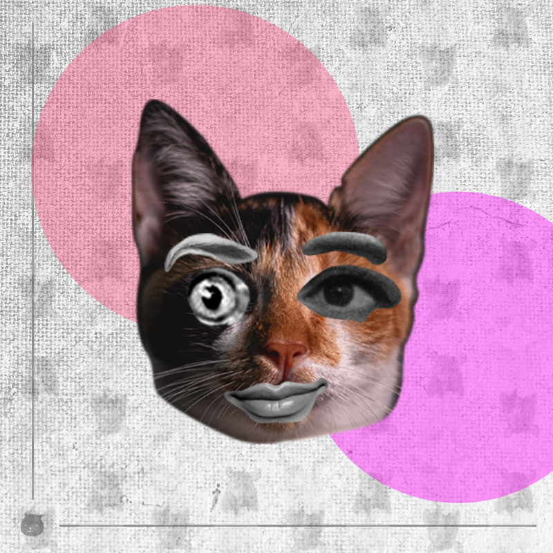 Kittenstein #69 static NFT preview