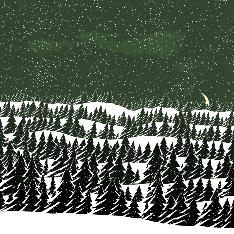 Winterland #193 static token preview