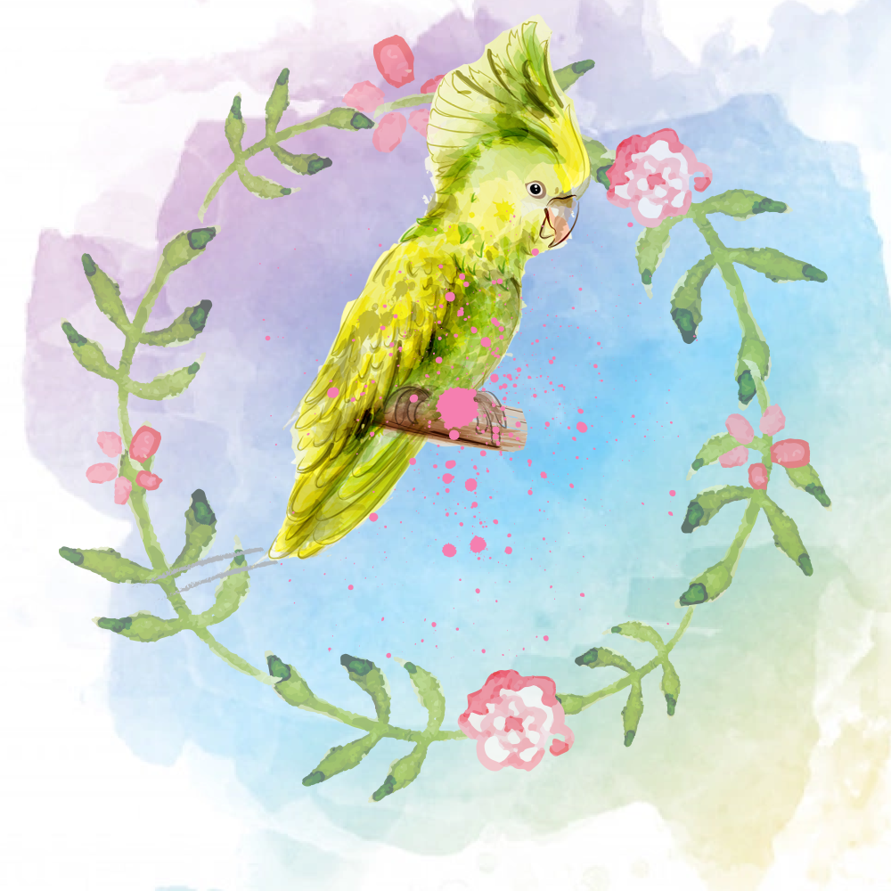 Random Tropical Birds #4 static NFT preview