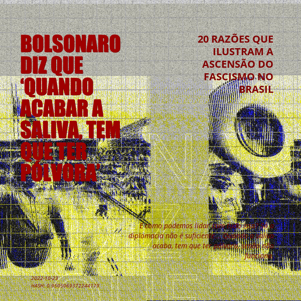B4D - Brazil4Democracy #22 static token preview