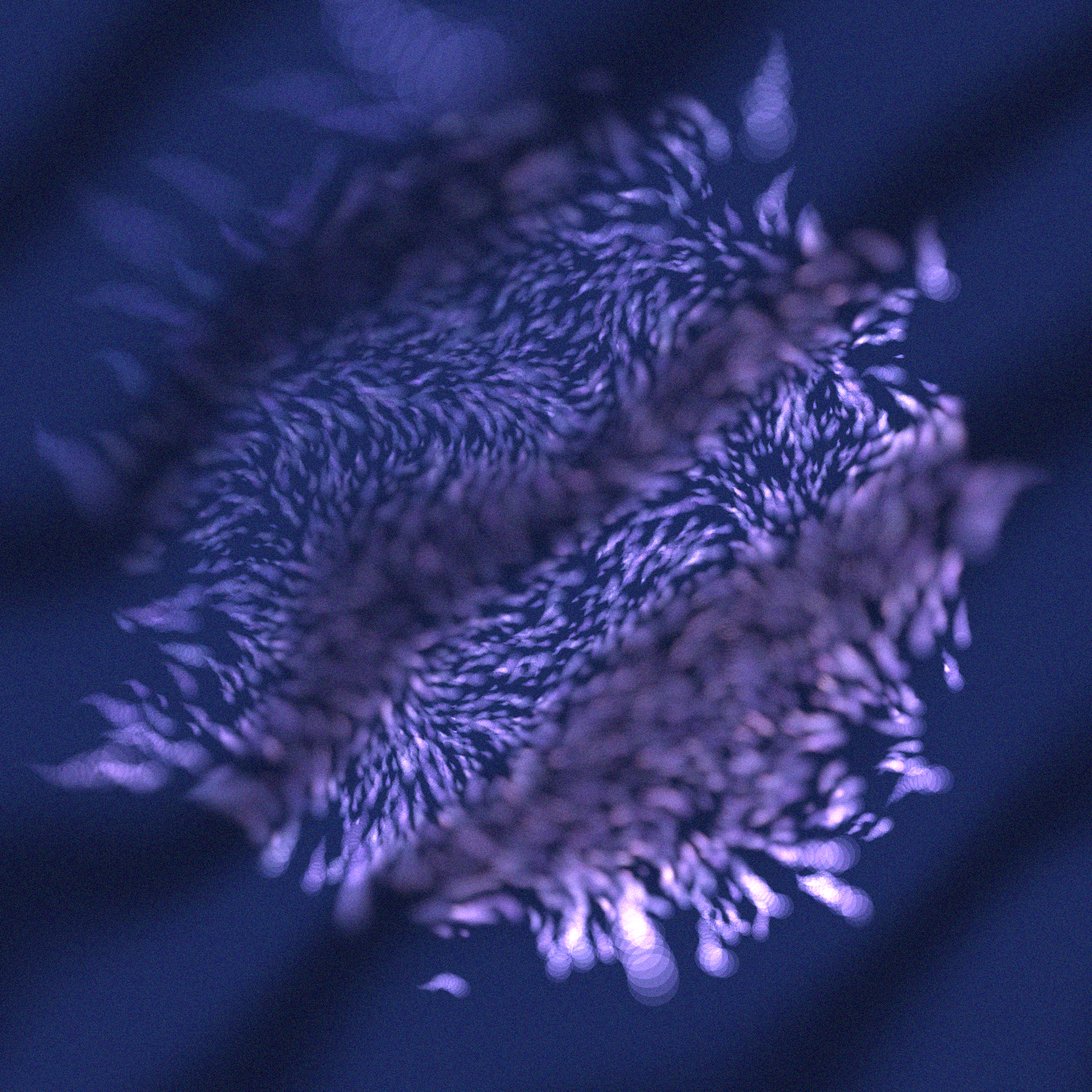 Alles #82 static NFT preview