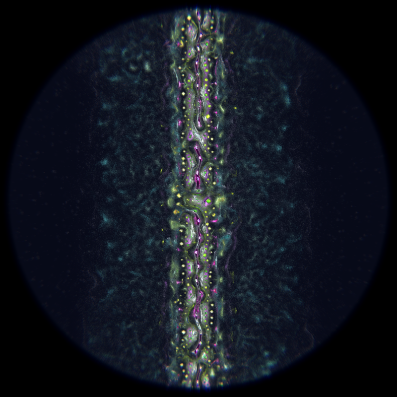 Ethereal Microcosm #148 static NFT preview