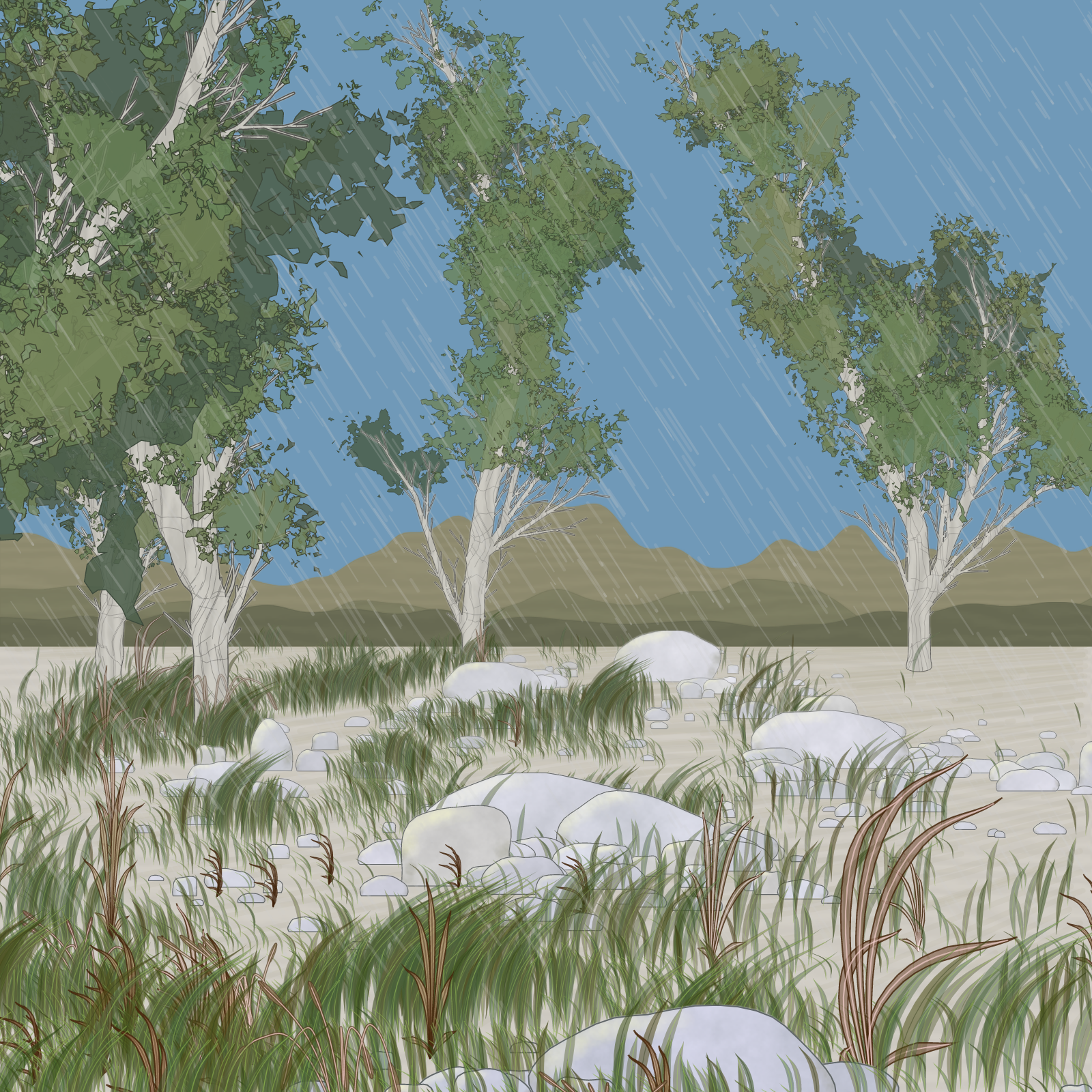 Rain Ritual #92 static token preview