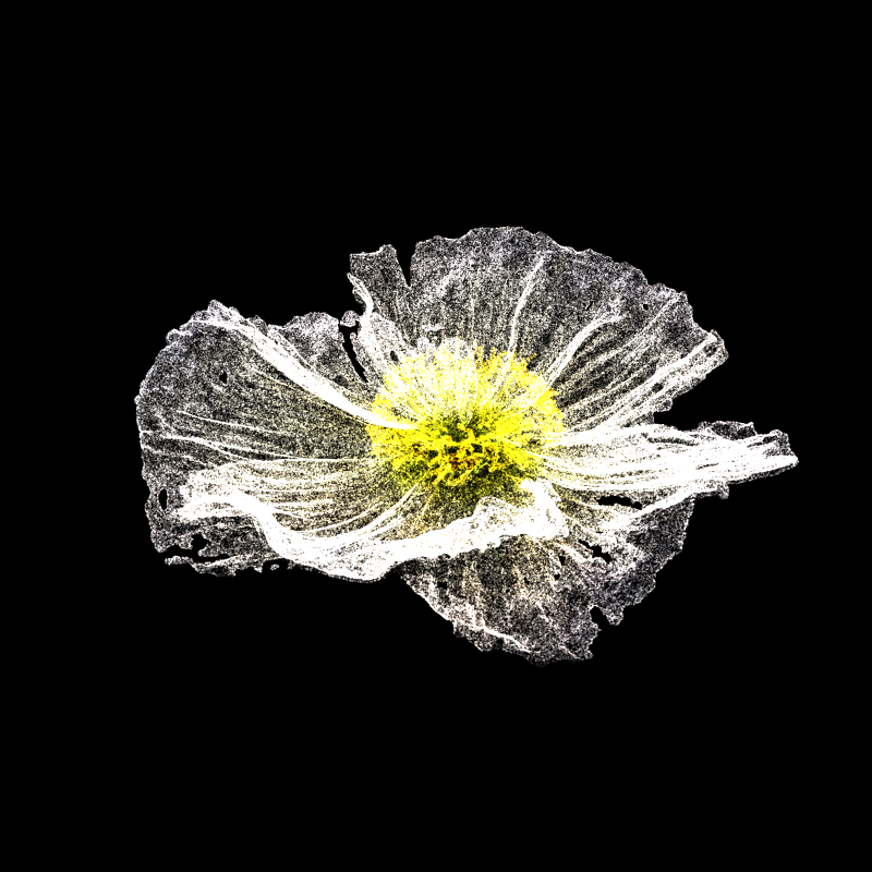 White Poppy 30 #110 static token preview