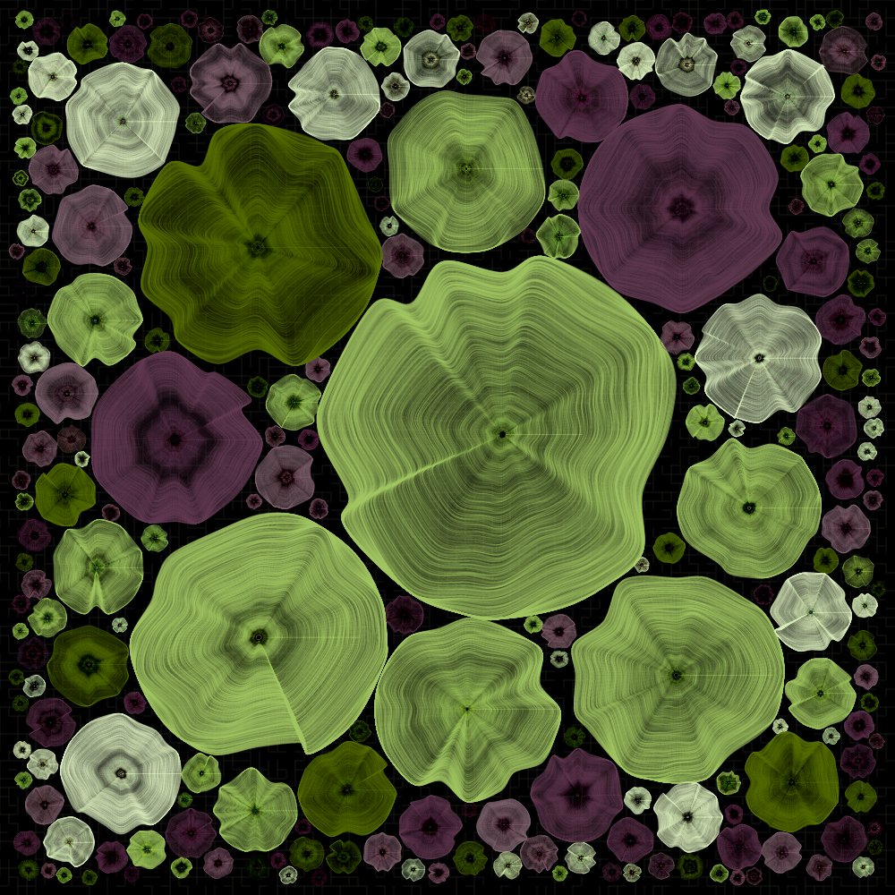 Process #38 static NFT preview