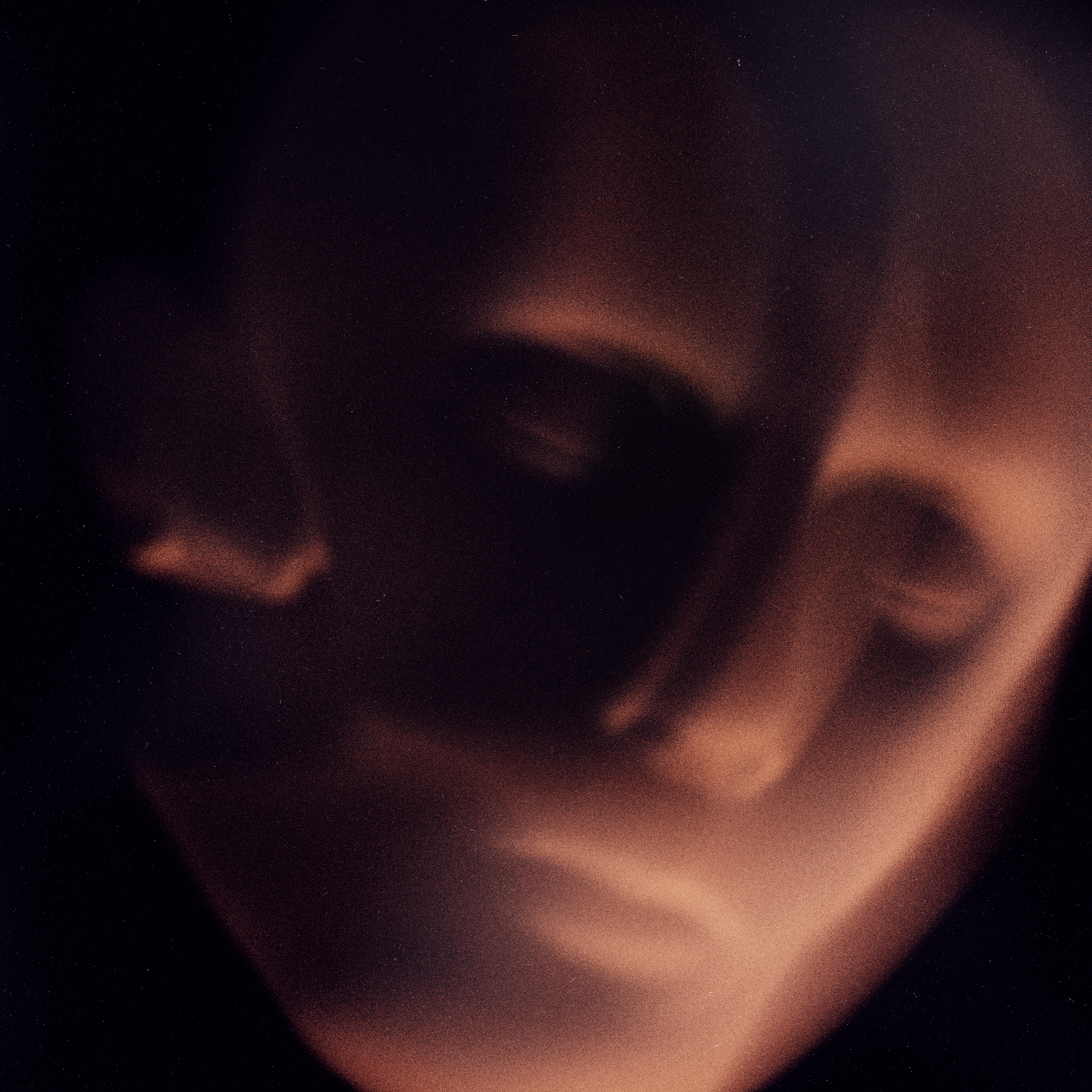 Emotional Shell #340 static NFT preview