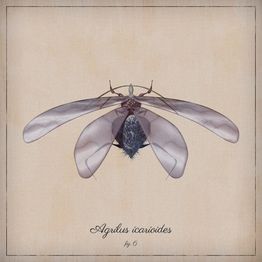 ProcGen Entomology #213 static NFT preview