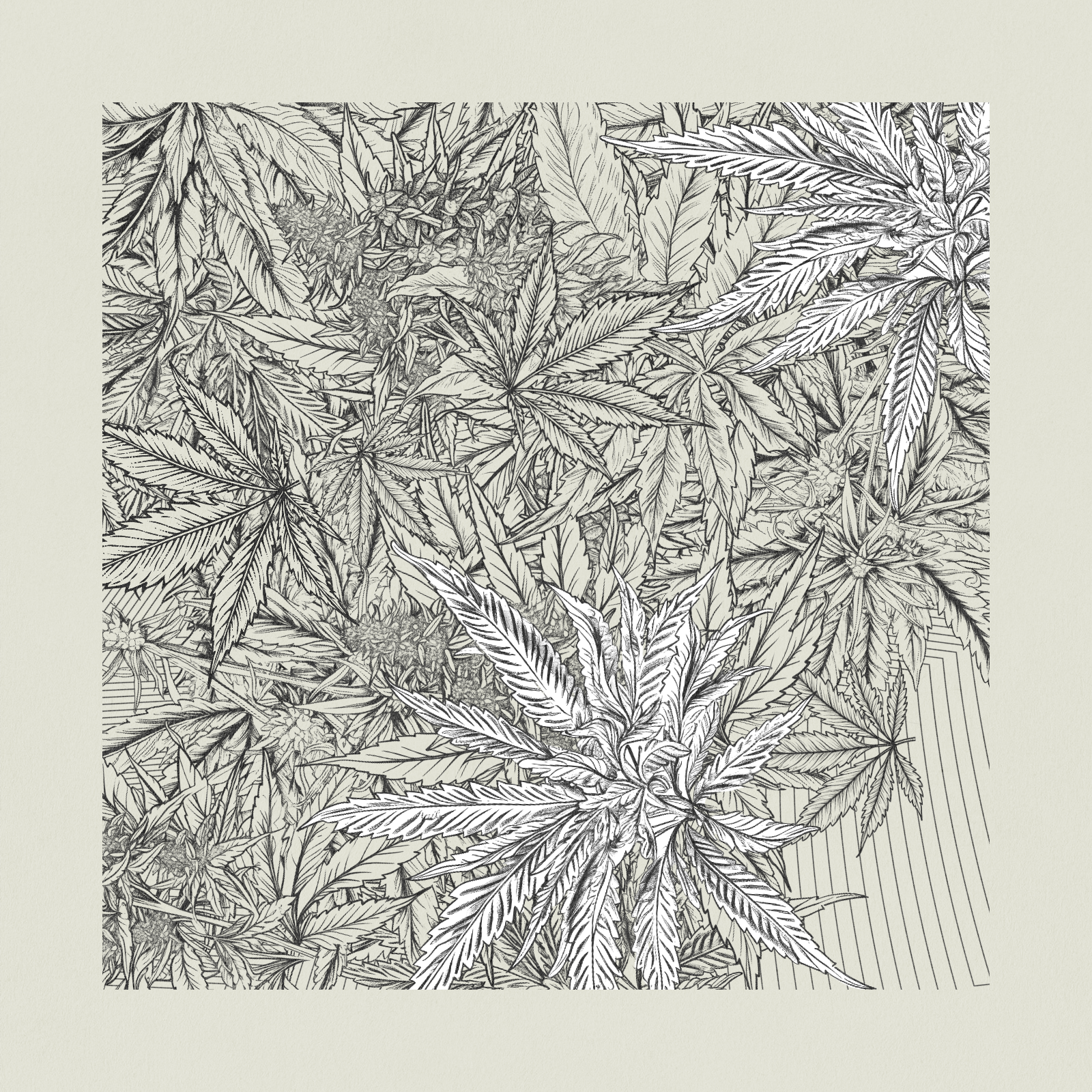 zancannabis #12 static token preview